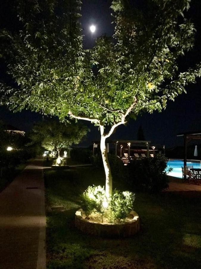 Boutique Hotel Ileas Village أركودي المظهر الخارجي الصورة