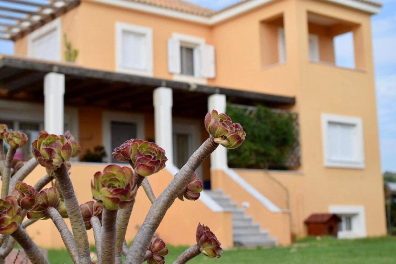 Boutique Hotel Ileas Village أركودي المظهر الخارجي الصورة